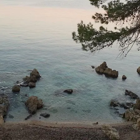 Zenazur Daire *