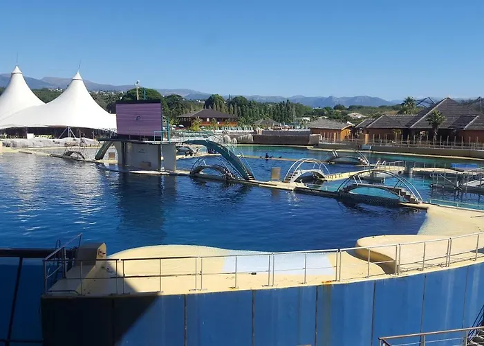 Zenazur * Antibes