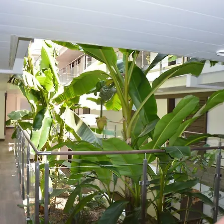 Zenazur Apartment *