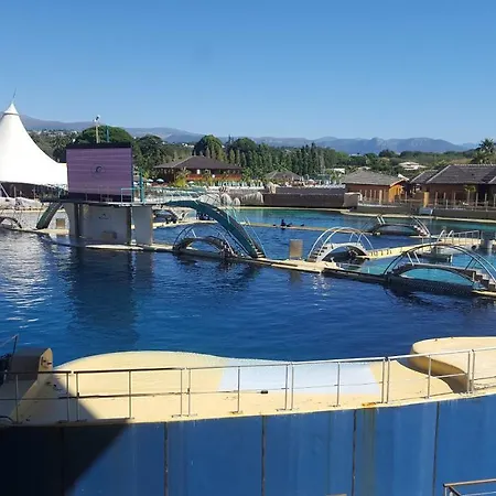 Zenazur * Antibes